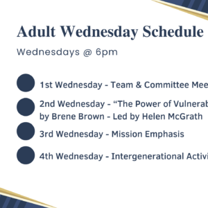 Adult Wednesday Activities